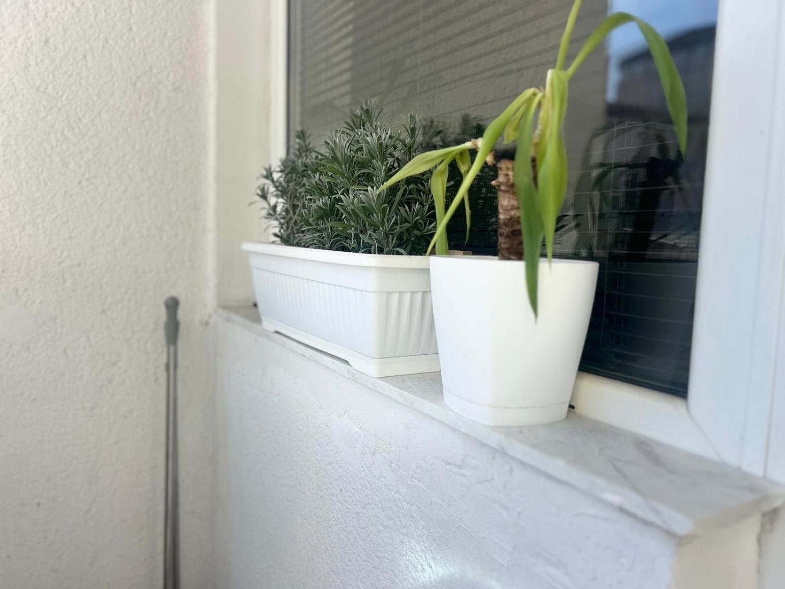 Cinema Vardar Apartment Szkopje Kültér fotó